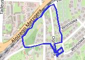 Trasa z dnia 2013-02-20 19:28 - mapa trasy gps - marsz