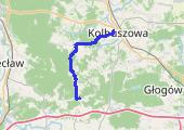 Trasa z dnia 2015-05-16 17:09 - mapa trasy gps - rower górski