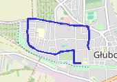 runtastic_20150203_2007_Bieganie - mapa trasy gps - bieganie