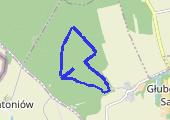 runtastic_20150213_1625_Bieganie - mapa trasy gps - bieganie