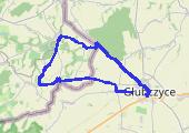 runtastic_20140603_2015_Jazda rowerem - mapa trasy gps - rower górski
