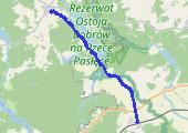 Trasa z dnia 2015-05-31 13:15 - mapa trasy gps - bieganie