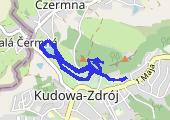 Trasa z dnia 2015-06-04 08:29 - mapa trasy gps - bieganie