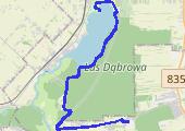 Trasa z dnia 2015-05-31 13:51 - mapa trasy gps - rower górski