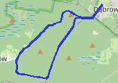 Trasa z dnia 2015-06-11 18:48 - mapa trasy gps - nordic walking