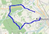 Trasa z dnia 2015-06-16 19:54 - mapa trasy gps - rower górski