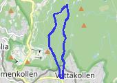 Trasa z dnia 2015-06-19 21:13 - mapa trasy gps - bieganie