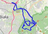 Trasa z dnia 2015-06-20 21:54 - mapa trasy gps - motocykl
