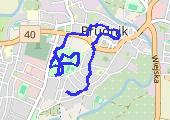 CardioTrainer_2011-12-24T11_25_43Z - mapa trasy gps - spacer
