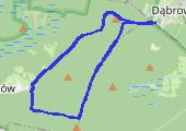 Trasa z dnia 2015-06-22 18:53 - mapa trasy gps - nordic walking