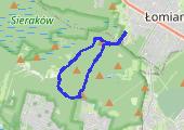Trasa z dnia 2015-06-29 17:26 - mapa trasy gps - nordic walking