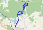 Trasa z dnia 2013-03-14 10:34 - mapa trasy gps - narty biegowe
