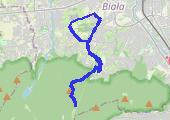 Trasa z dnia 2015-07-03 22:09 - mapa trasy gps - rower górski