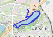 Trasa z dnia 2015-07-10 10:28 - mapa trasy gps - nordic walking