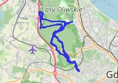 Trasa z dnia 2015-07-18 11:02 - mapa trasy gps - rower górski