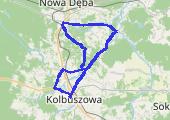 Trasa z dnia 2015-07-20 19:05 - mapa trasy gps - rower szosowy