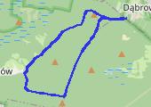 Trasa z dnia 2015-07-30 18:12 - mapa trasy gps - nordic walking