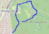 Grodzisko - Lasek Bródnowski - mapa trasy gps - spacer