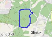 24 stycznia - mapa trasy gps - spacer