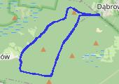 Trasa z dnia 2015-08-04 18:16 - mapa trasy gps - nordic walking