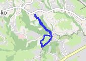 Trasa z dnia 2015-08-04 19:43 - mapa trasy gps - marsz