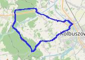 Trasa z dnia 2015-08-04 19:50 - mapa trasy gps - rower górski