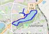 Trasa z dnia 2015-08-04 19:28 - mapa trasy gps - spacer