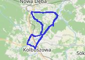 Trasa z dnia 2015-08-10 19:51 - mapa trasy gps - rower szosowy
