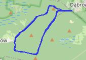 Trasa z dnia 2015-08-11 18:11 - mapa trasy gps - nordic walking