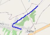 runtastic_20121230_1510_Chodzenie - mapa trasy gps - spacer