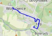 Trasa z dnia 2015-04-30 17:14 - mapa trasy gps - bieganie