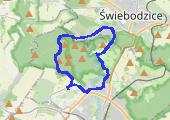 Trasa z dnia 2015-08-30 13:43 - mapa trasy gps - rower górski