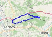 Pierwszy raz Czarna z  M. - mapa trasy gps - rower trekkingowy