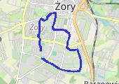 Trasa z dnia 2013-04-08 21:20 - mapa trasy gps - bieganie