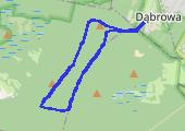 Trasa z dnia 2015-09-08 18:03 - mapa trasy gps - nordic walking