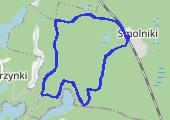 Trasa z dnia 2015-09-04 08:27 - mapa trasy gps - bieganie