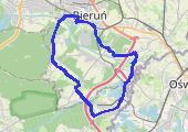 Trasa z dnia 2015-09-17 20:03 - mapa trasy gps - rower górski
