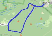 Trasa z dnia 2015-10-08 18:44 - mapa trasy gps - nordic walking