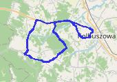 Trasa z dnia 2015-10-31 10:45 - mapa trasy gps - rower szosowy
