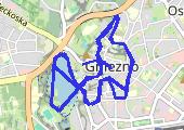 Trasa z dnia 2015-11-11 12:11 - mapa trasy gps - bieganie