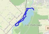 Trasa z dnia 2013-04-21 11:52 - mapa trasy gps - bieganie