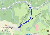 Trasa z dnia 2012-03-11 16:01 - mapa trasy gps - narty