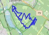 Trasa z dnia 2015-07-12 11:47 - mapa trasy gps - inna