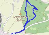 Trasa z dnia 2015-12-06 12:10 - mapa trasy gps - spacer