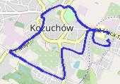 Ślad_2016-01-01 192027 - mapa trasy gps - spacer