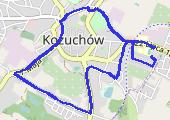 Ślad_2016-01-07 193336 - mapa trasy gps - spacer