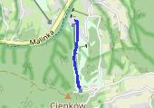 Trasa z dnia 2016-01-17 09:46 - mapa trasy gps - snowboard
