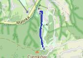 Trasa z dnia 2016-01-17 10:30 - mapa trasy gps - snowboard