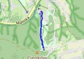 Trasa z dnia 2016-01-17 11:07 - mapa trasy gps - snowboard