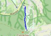 Trasa z dnia 2016-01-17 11:42 - mapa trasy gps - snowboard